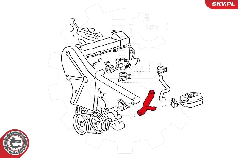 Radiator Hose